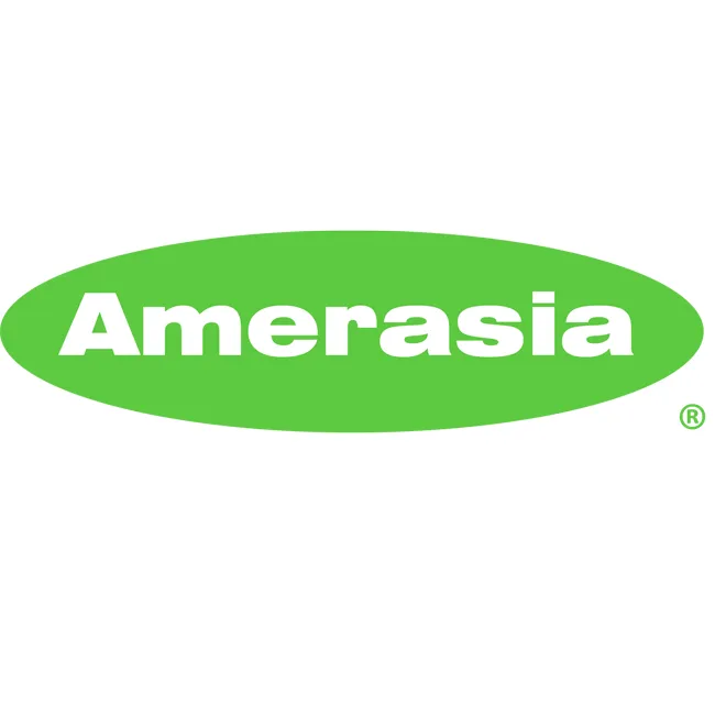 AMERASIA PMS LOGO_3700