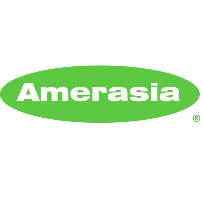 AMERASIA PMS LOGO_3700