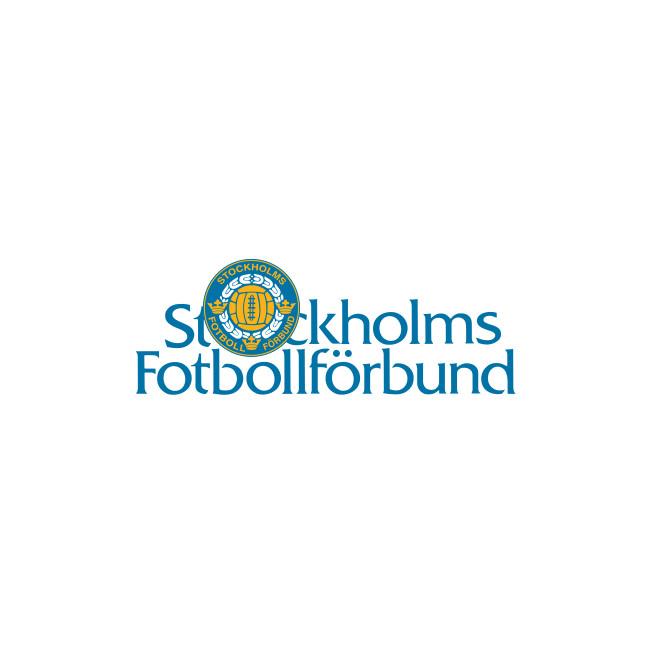 Stockholm Football Association_logo_3418.jpg